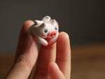 Little Pink Angel Pig - Tea Pet