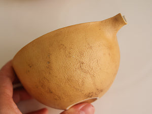 Potato Peel Faircup