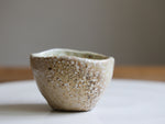 Shino Woodfired Teacup #01