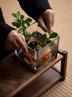 Walnut Teaware Shelf (including a glass container)