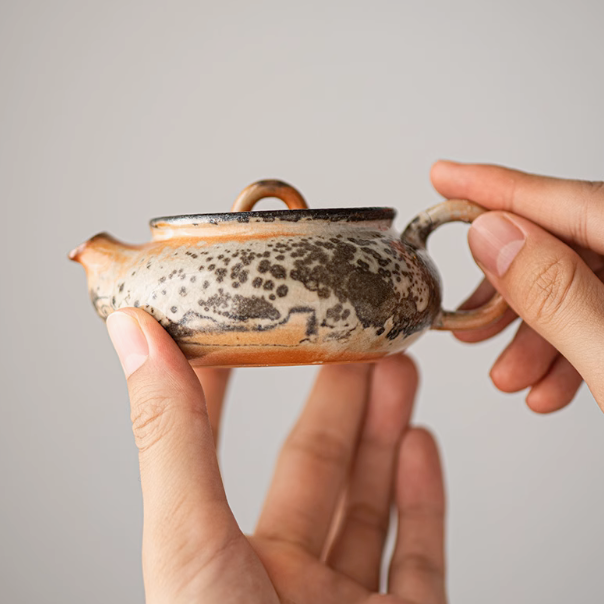 Shino Ink Teapot #01