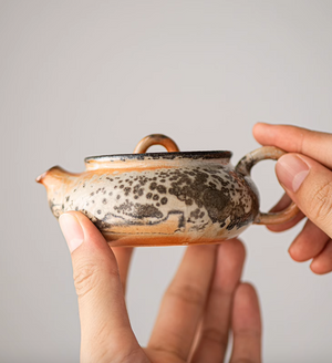 Shino Ink Teapot #01