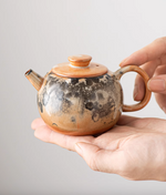 Shino Ink Teapot #06