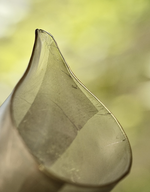 [Qin] Handblown Frost Glass Faircup- Tall