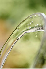 Bubble Leaf Glass Tea Scoop