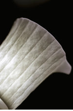 Folded Paper Ceramic Faircup -1
