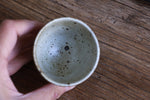 Metallic Silvered teacup