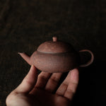 Grand Canyon Zisha Teapot- Master Yu