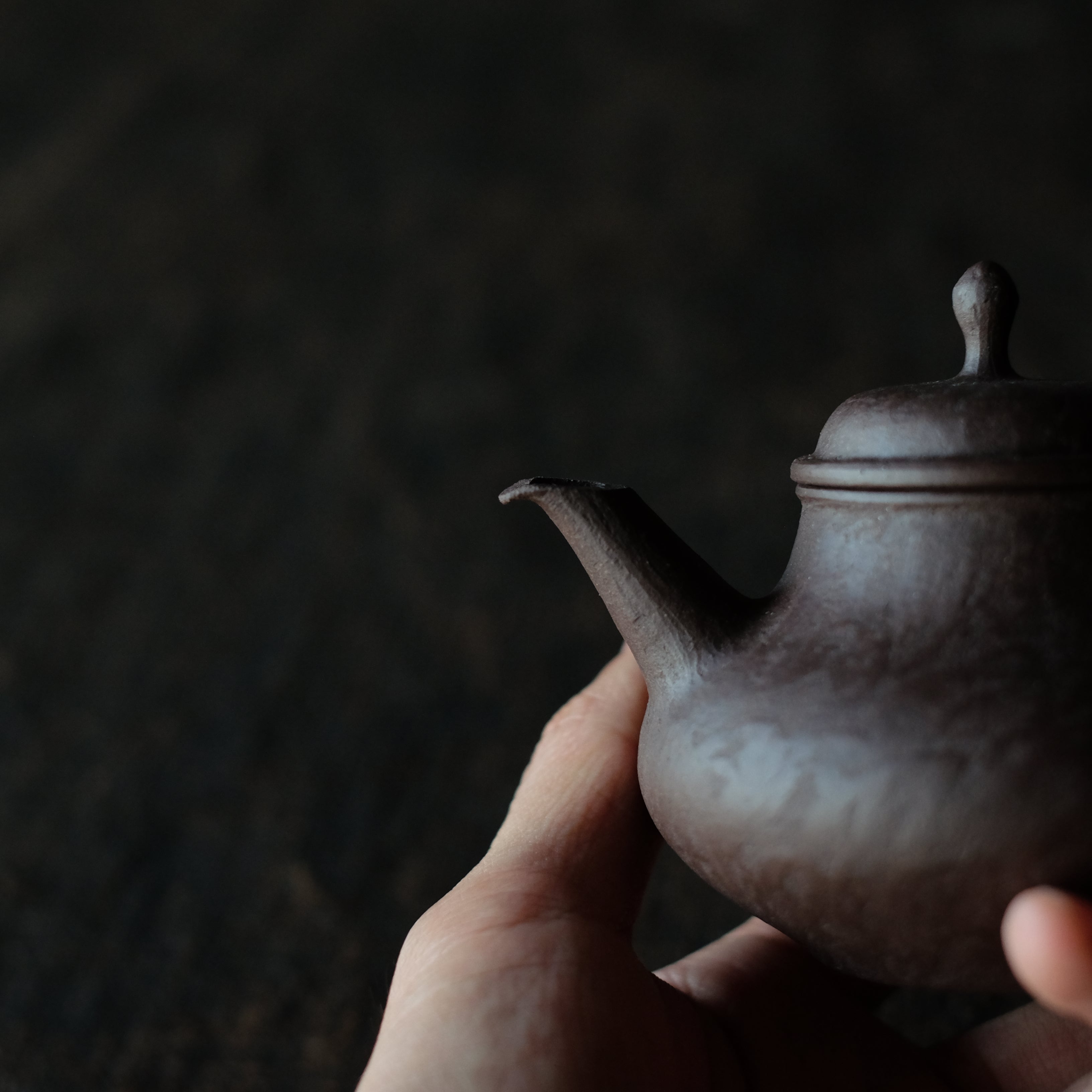 Master Yu Zisha Teapot #004