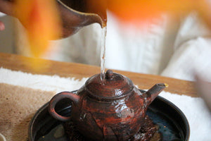Golden Spout Zisha Teapot - Master Yu